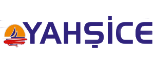 Logo-footer